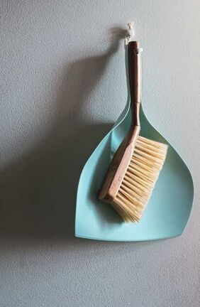 Dust pan and brush